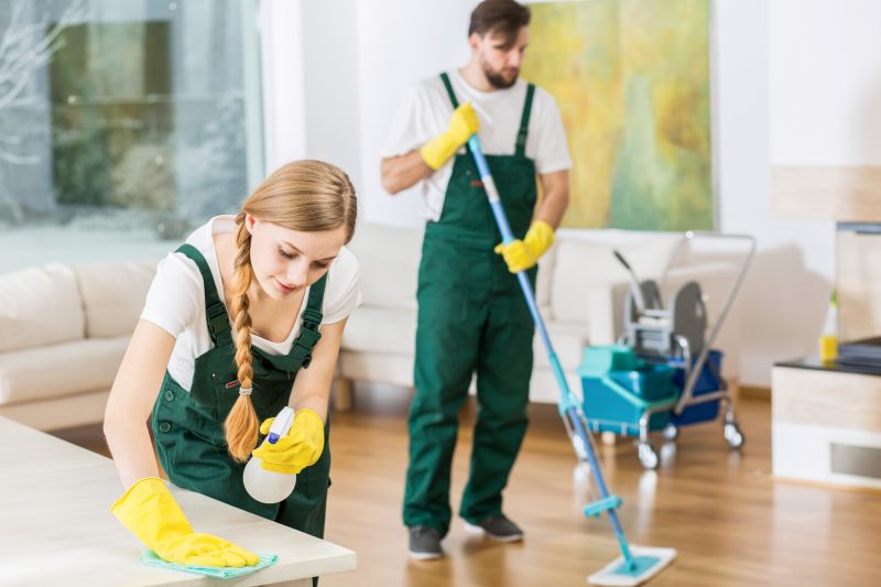 Kitchen Cleaning in Bellevue, WA