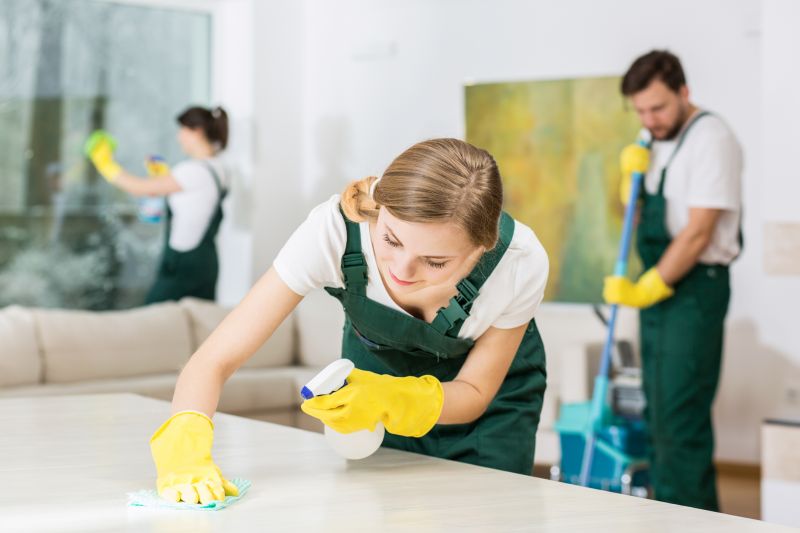 Townhouse Deep Cleaning in Renton, WA